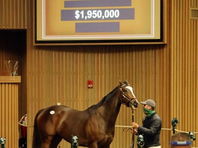 REVIEW: KEENELAND NOVEMBER BREEDING STOCK SALE SUCCESSFULLY  ... Image 1
